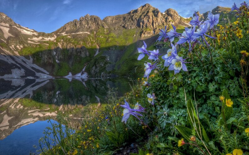 Alpine Lake with Wildflowers — Blue, Serene
