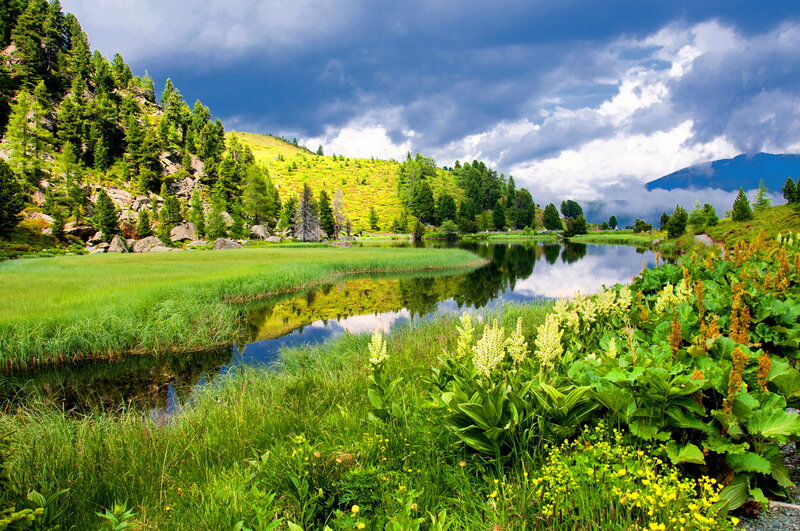 Alpine Lake with Wildflowers — Green, Dramatic