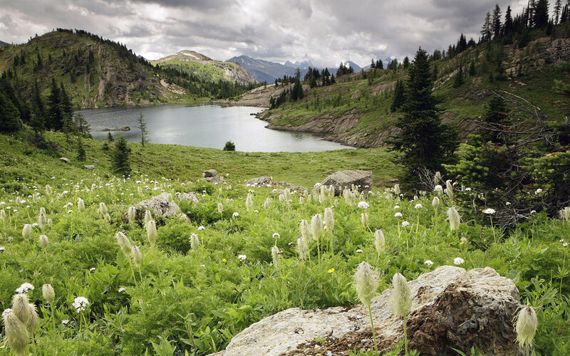 Alpine Lake with Wildflowers — Green, Serene, Summer