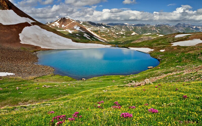 alpine lake with wildflowers