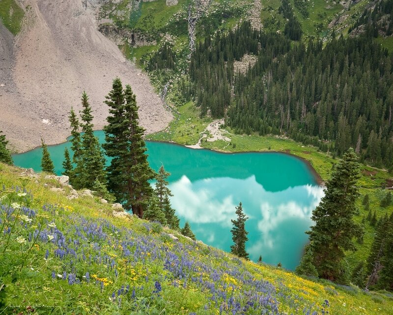 Alpine Lake with Wildflowers — Turquoise