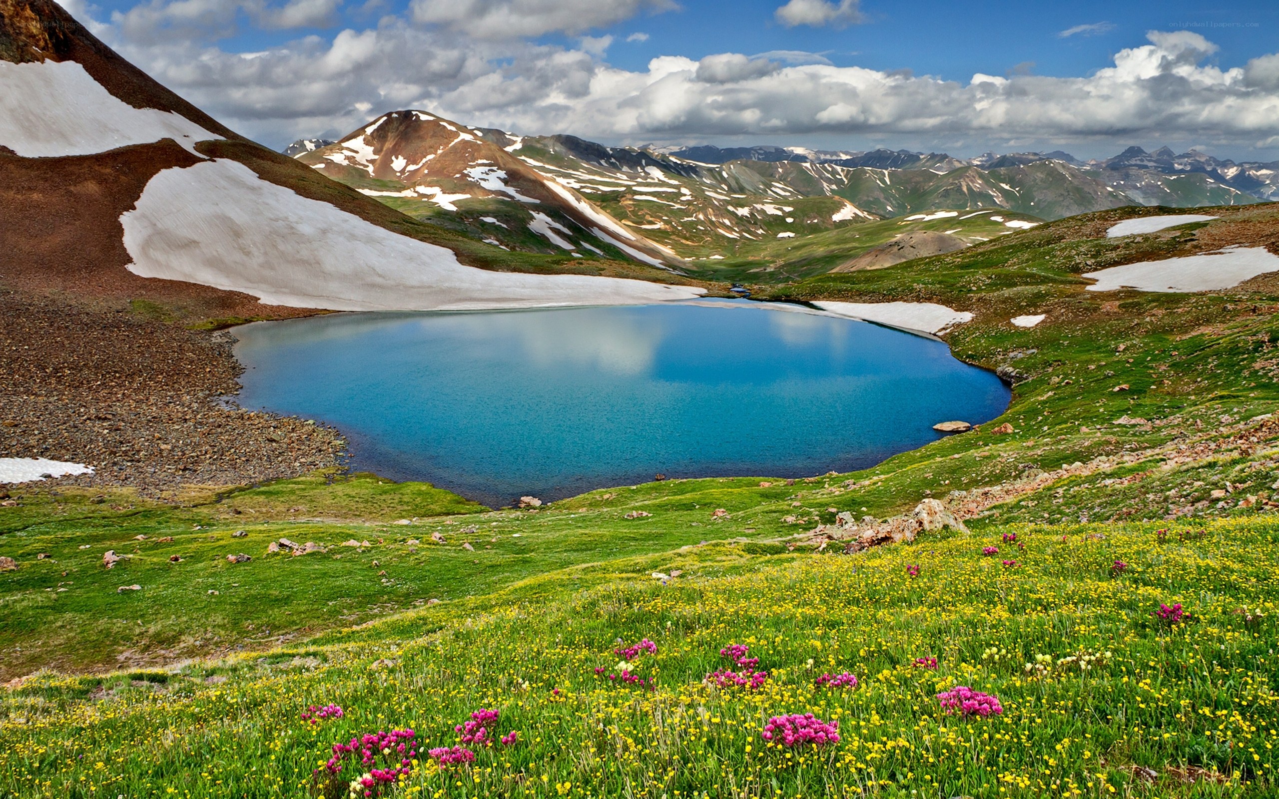 alpine lake with wildflowers