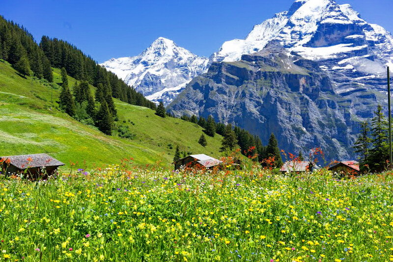 Alpine Meadow with Cabins