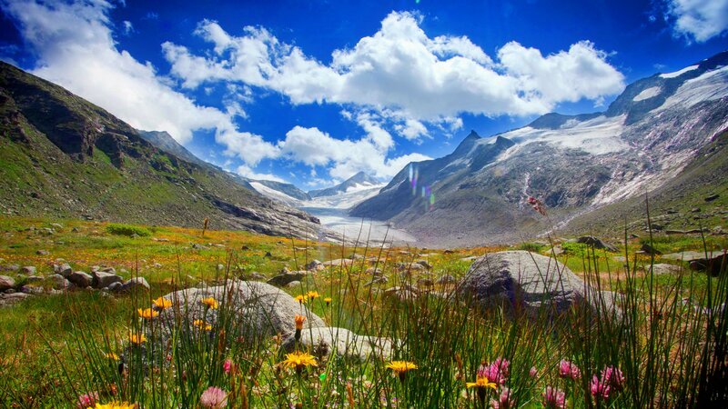 Alpine Meadow with Glacier — Blue