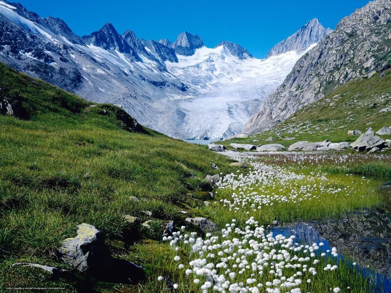 Alpine Meadow with Glacier — Green, Serene, Afternoon