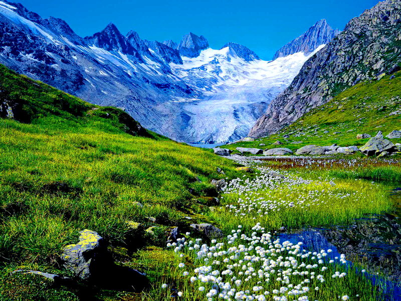 Alpine Meadow with Glacier — Green