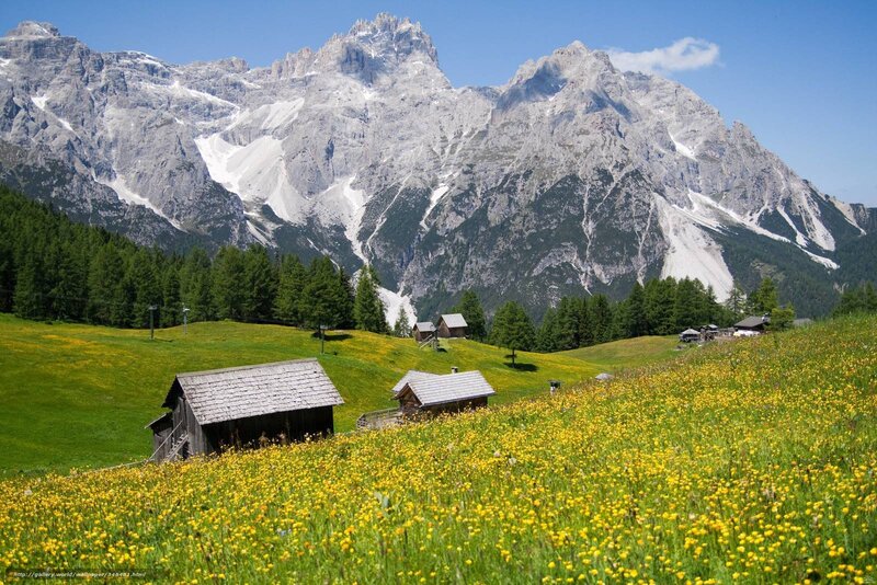 Alpine meadow with mountain backdrop