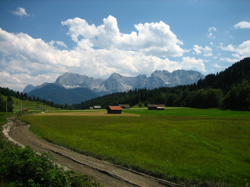 Alpine meadow with mountain view