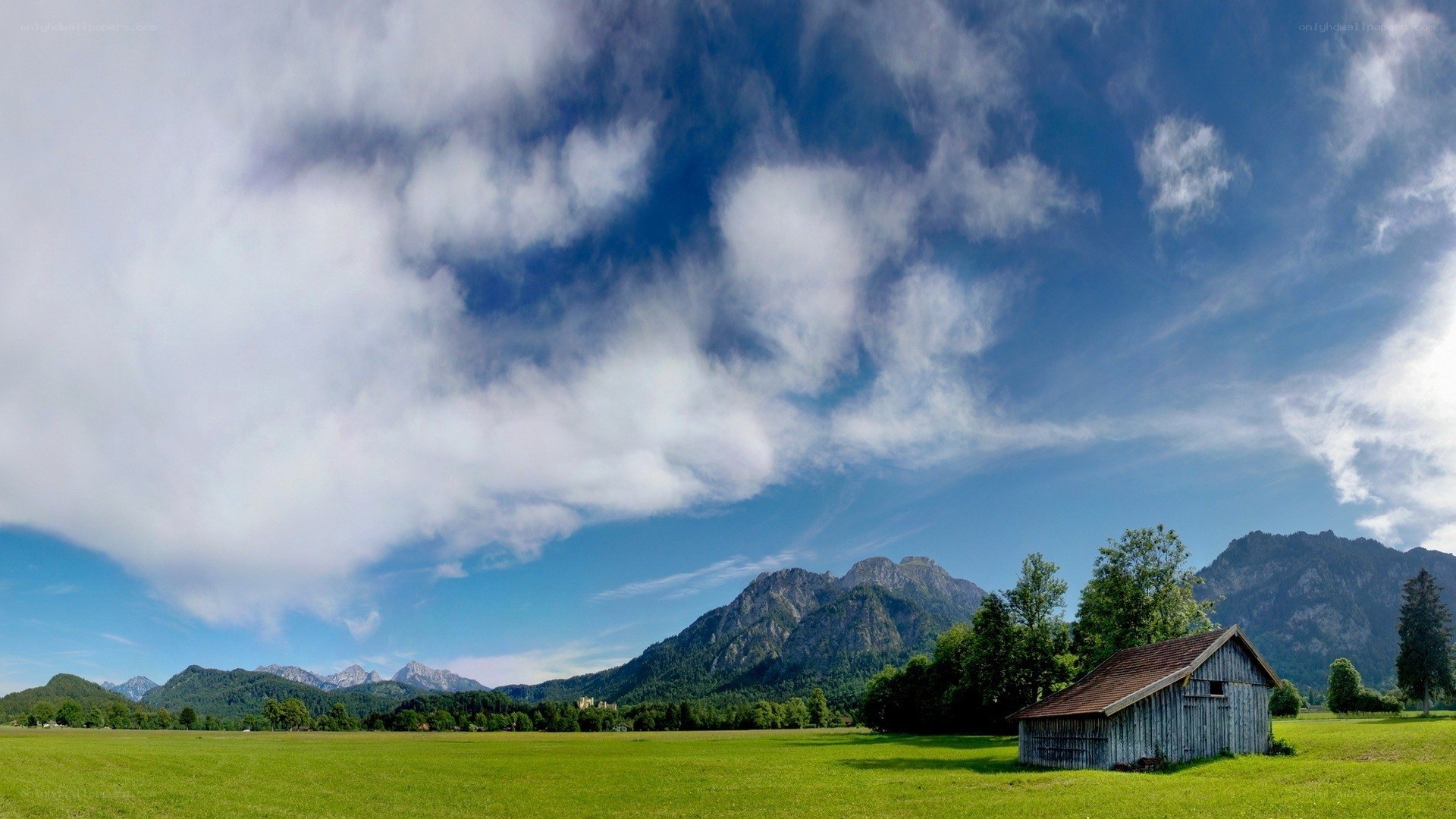 Alpine meadow with mountain view
