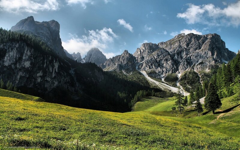 Alpine Meadow with Mountains — Green, Serene, Afternoon, Photograph, Trees, Sky