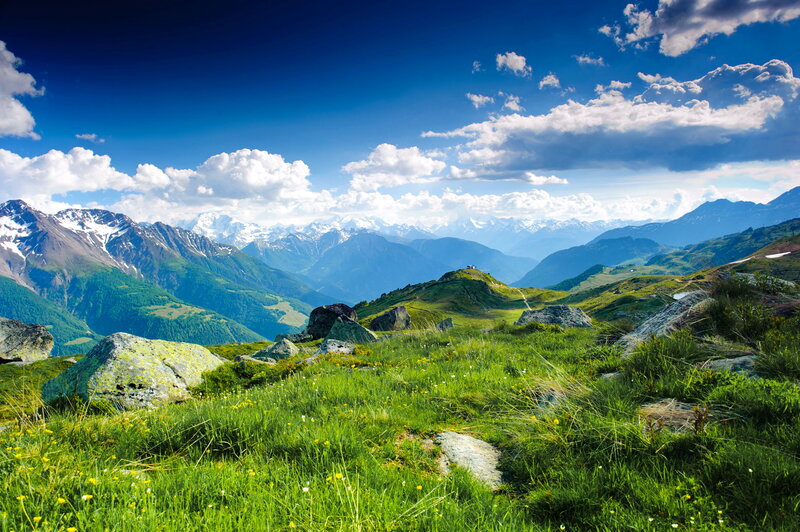 Alpine Meadow with Mountains — Green, Serene, Afternoon