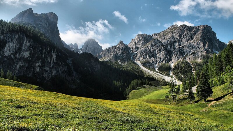 Alpine Meadow with Mountains — Green
