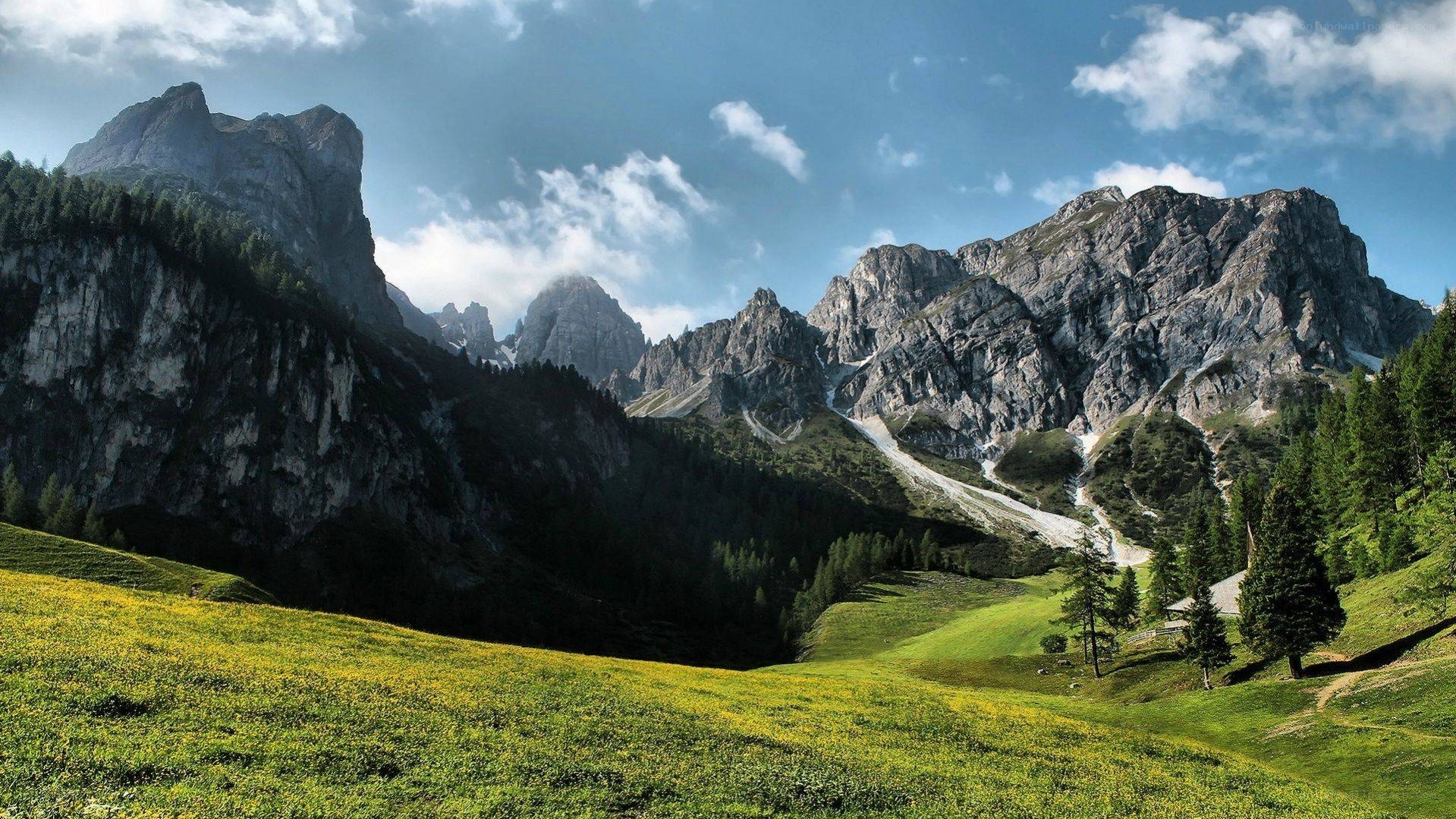 alpine meadow with rocky peaks