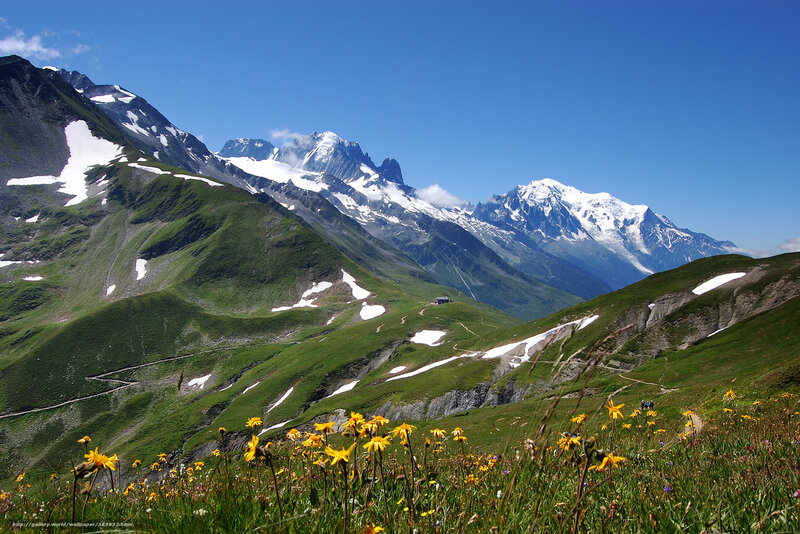 Alpine meadow with snow-capped peaks