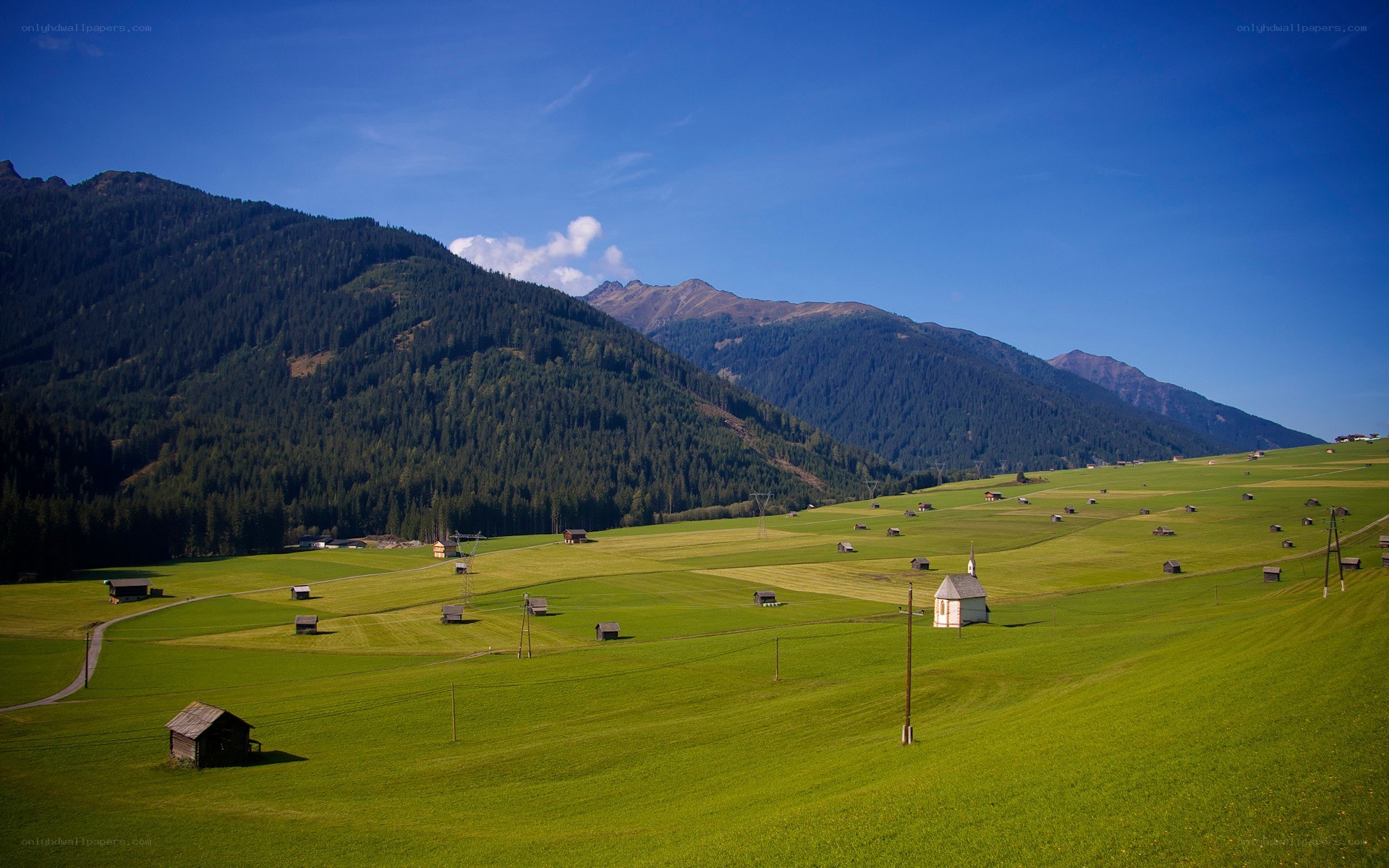 Alpine meadows with mountain backdrop