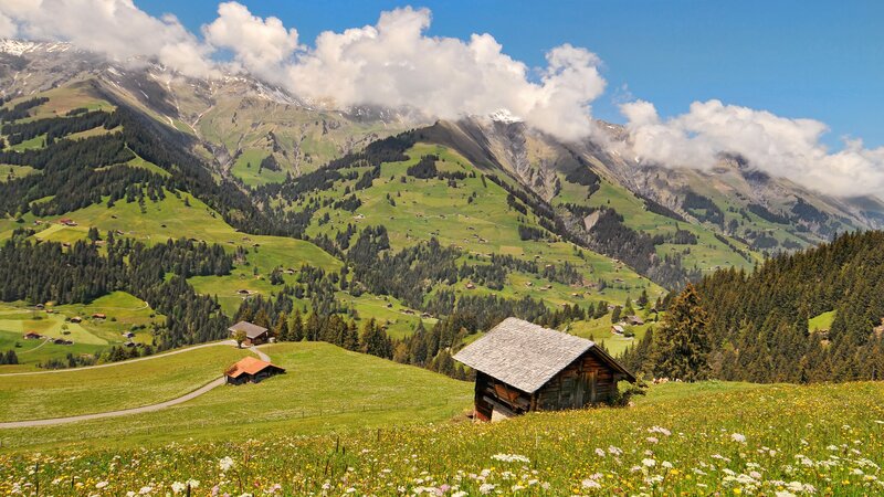 Alpine Mountain Valley