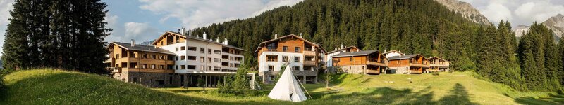 Alpine Resort Buildings