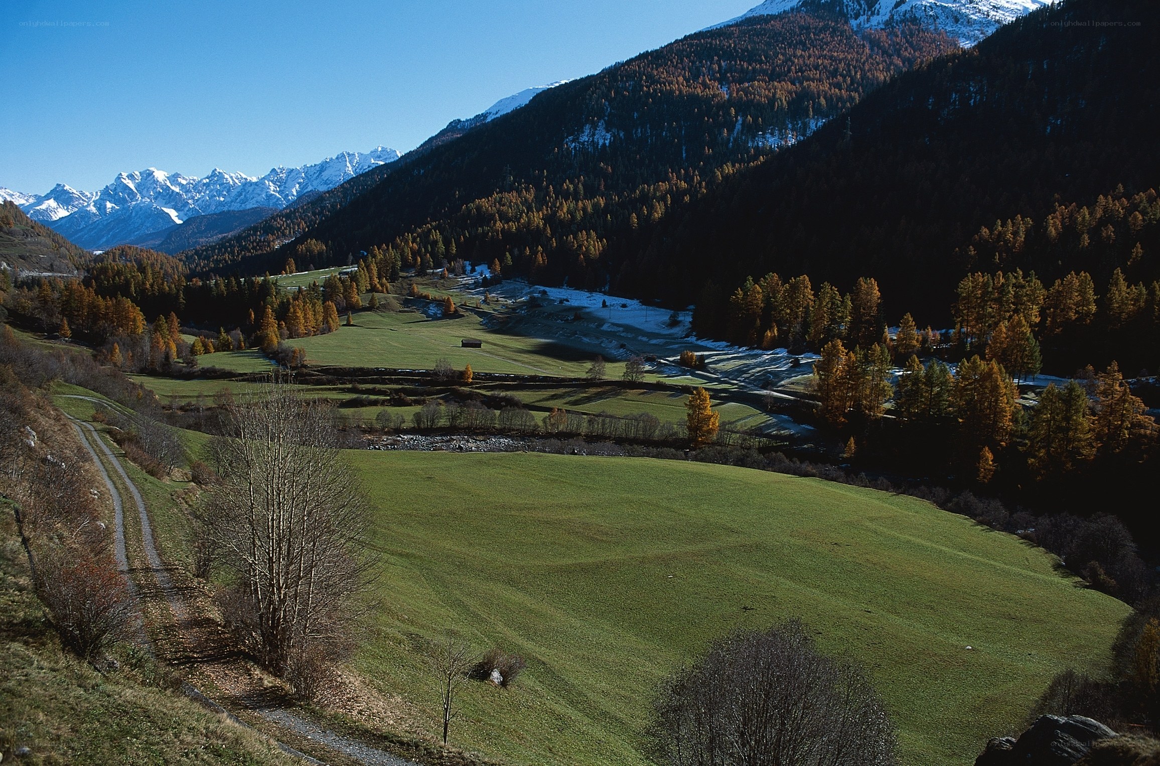Alpine valley in autumn