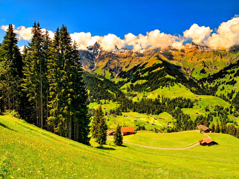 Alpine Valley Landscape — Green, Serene, Afternoon