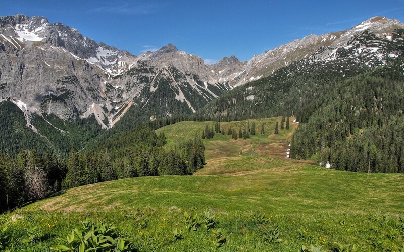 Alpine Valley Landscape — Green, Serene, Summer, Photograph, Mountains, Forests