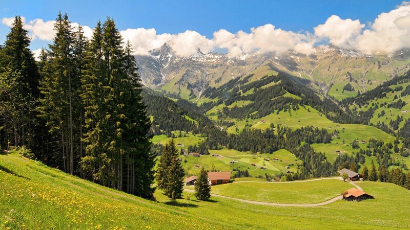 Alpine Valley Landscape — Green, Serene, Summer, Photograph