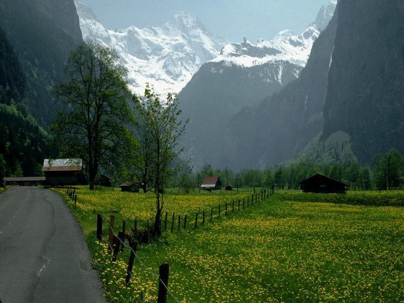 Alpine Valley Landscape — Green, Serene