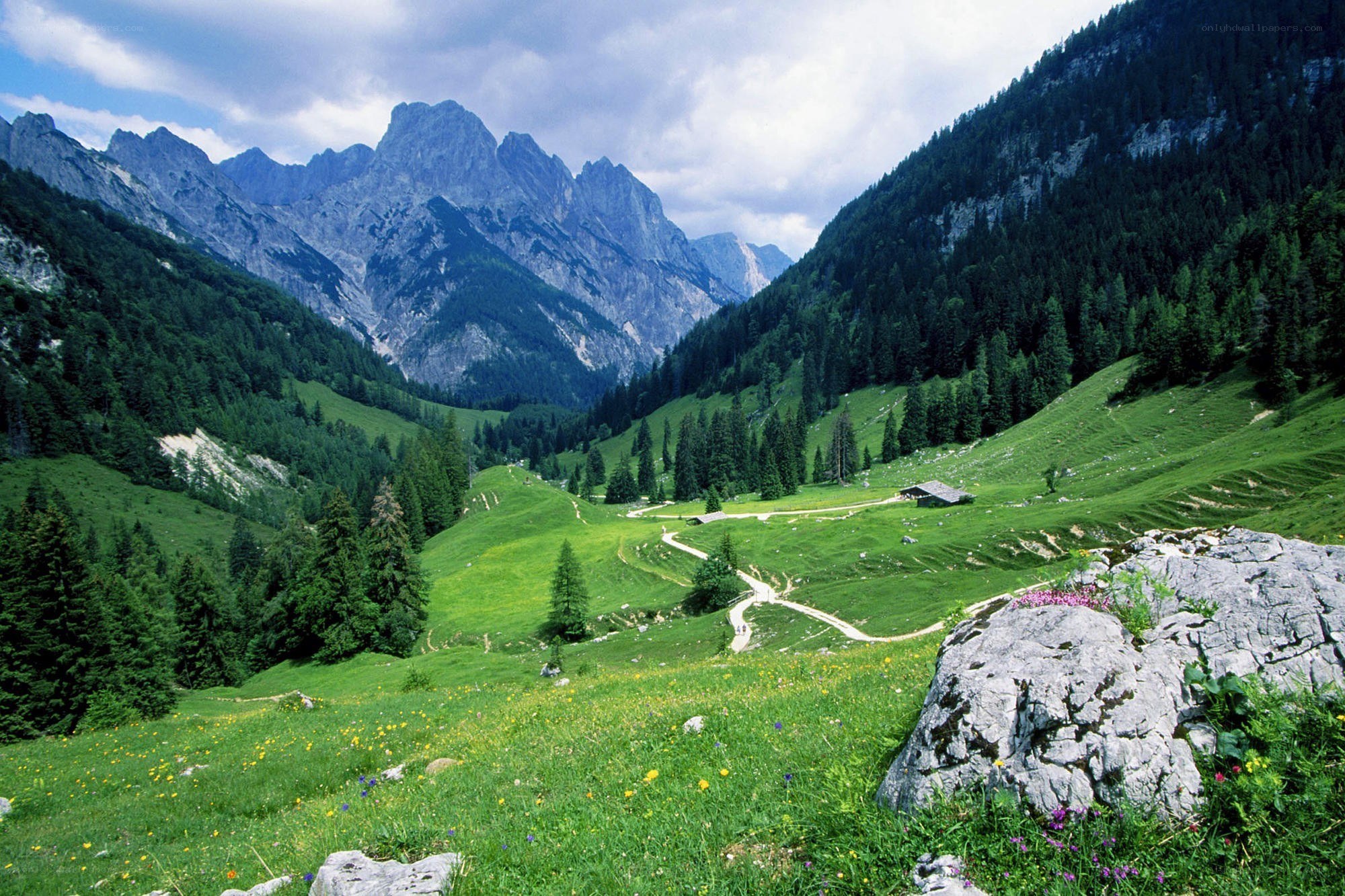 Alpine valley with mountain peaks