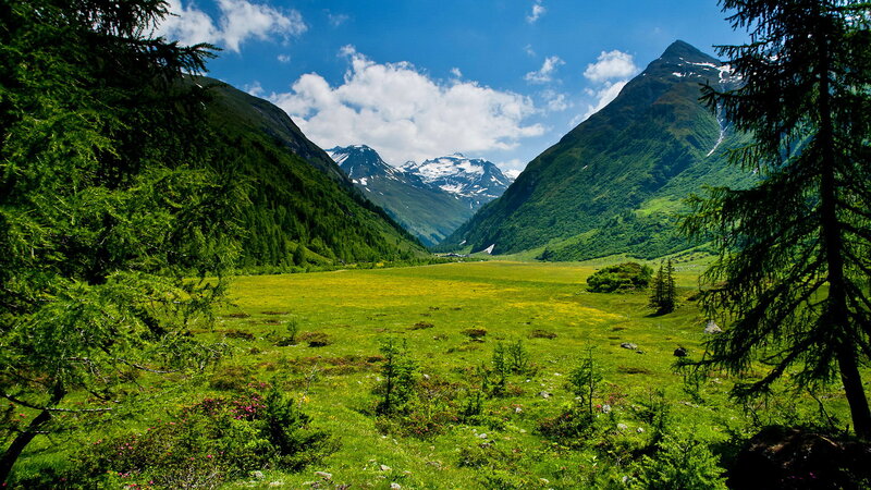 Alpine Valley with Mountains — Green, Serene