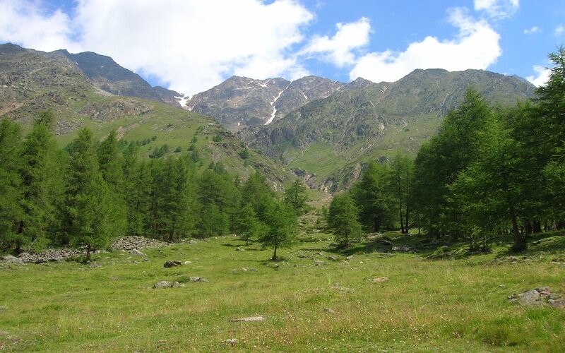 Alpine Valley with Mountains — Green