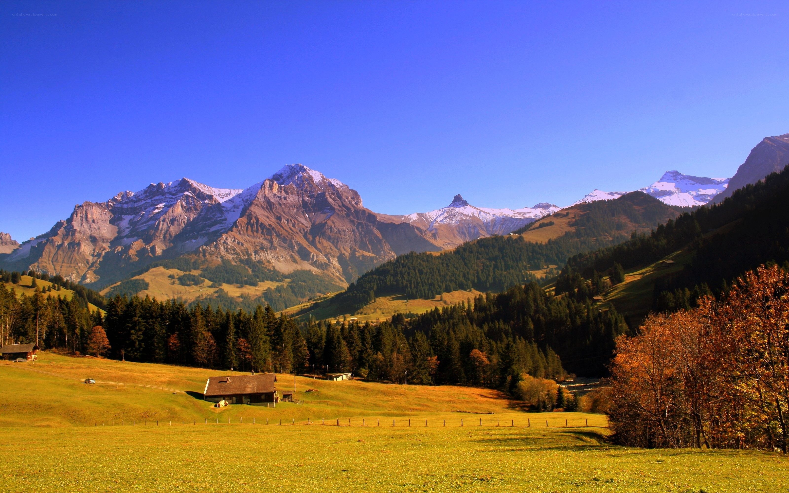 Alpine valley with snow-capped mountains