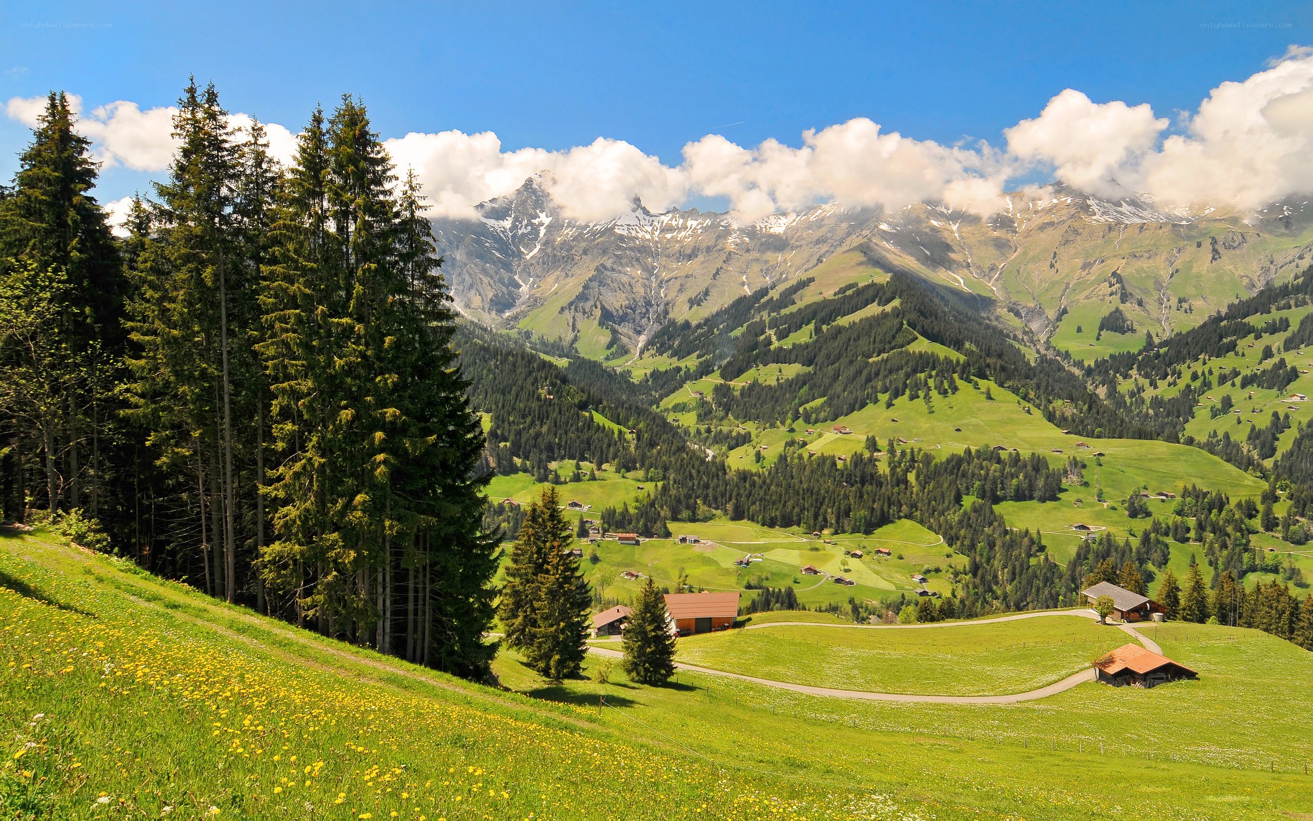 Alpine valley with snow-capped mountains