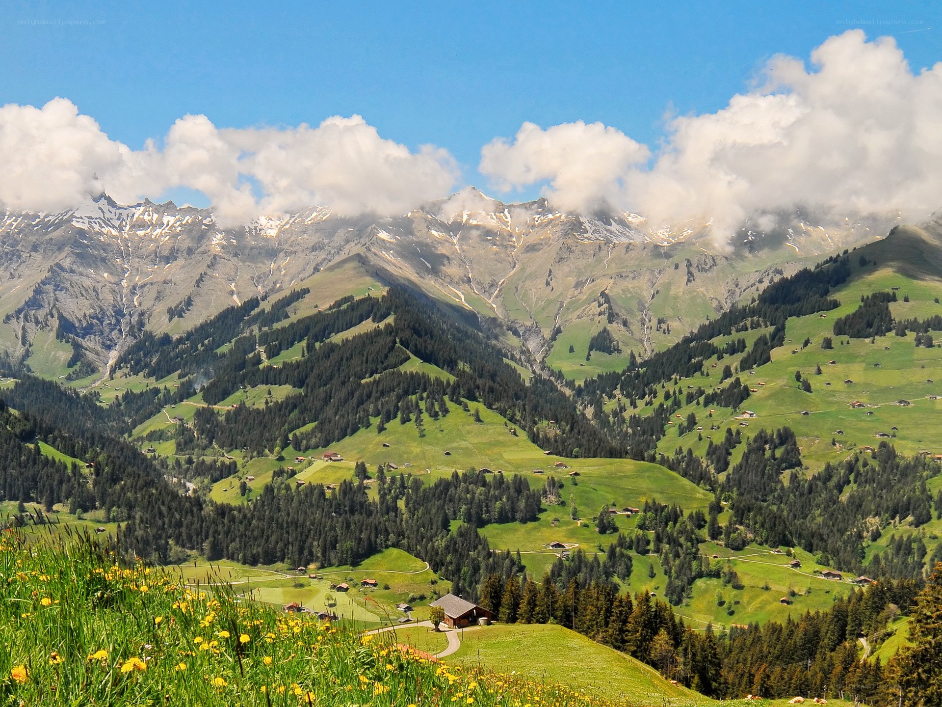 Alpine valley with snow-capped peaks