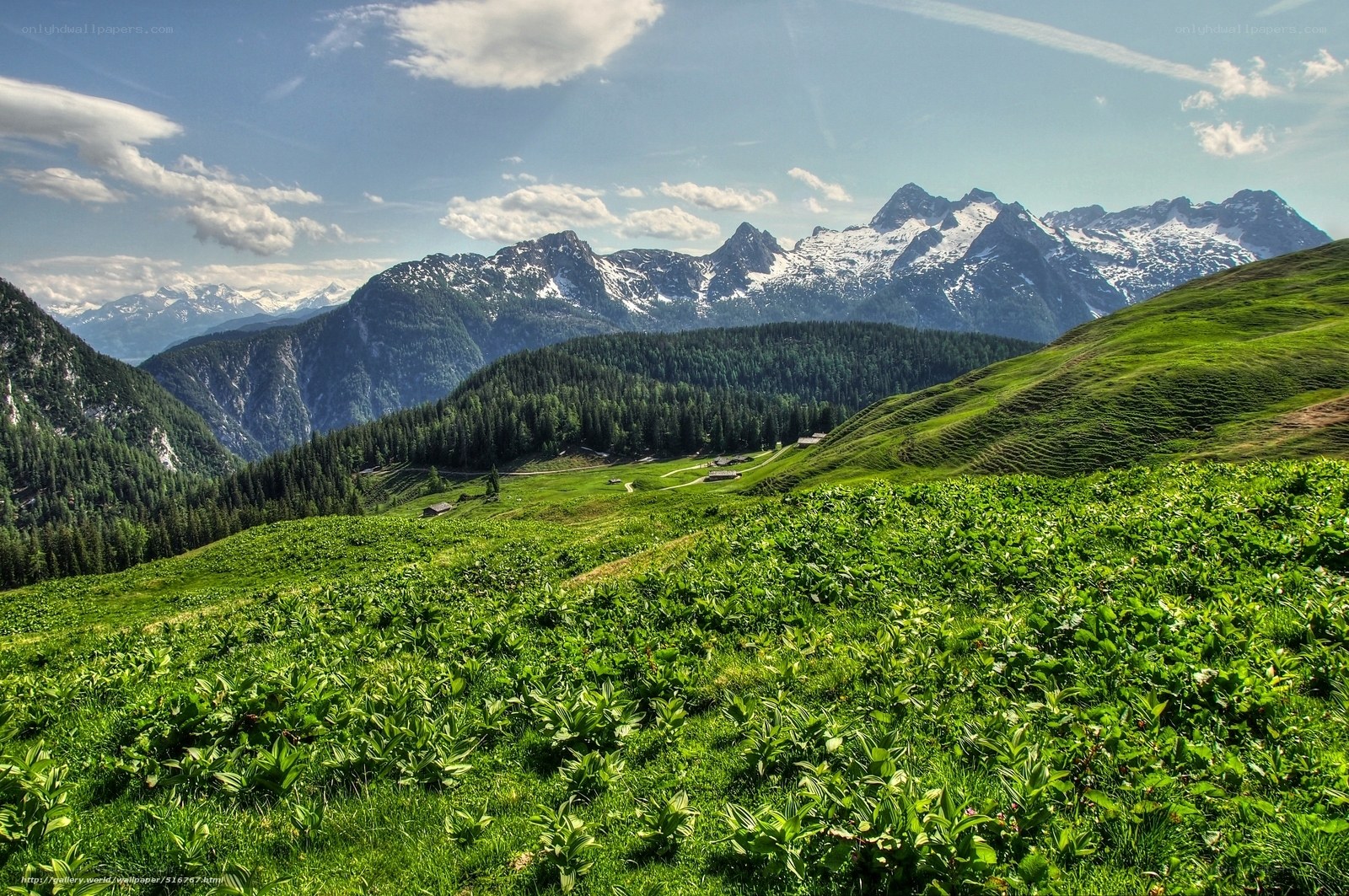 Alpine valley with snow-capped peaks