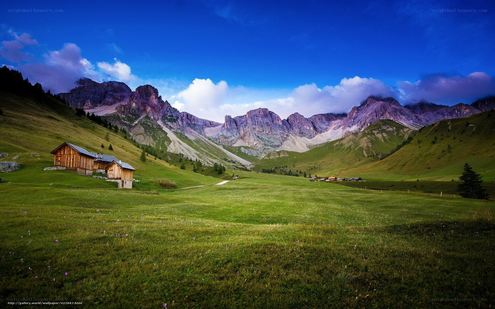 Alpine valley with wooden cabins
