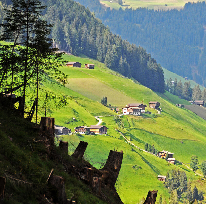 Alpine Village on Hillside — Green