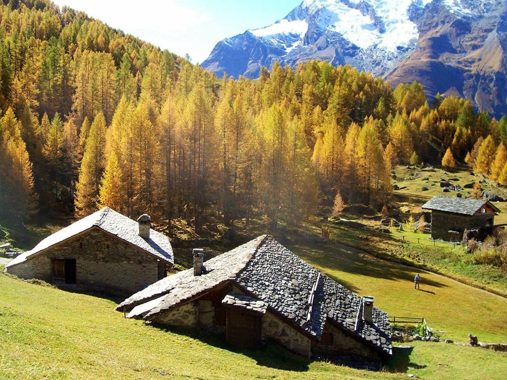 Alpine village with autumn trees