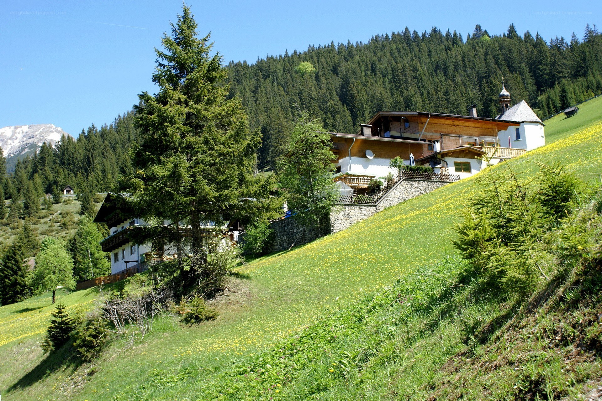 Alpine village with chalets