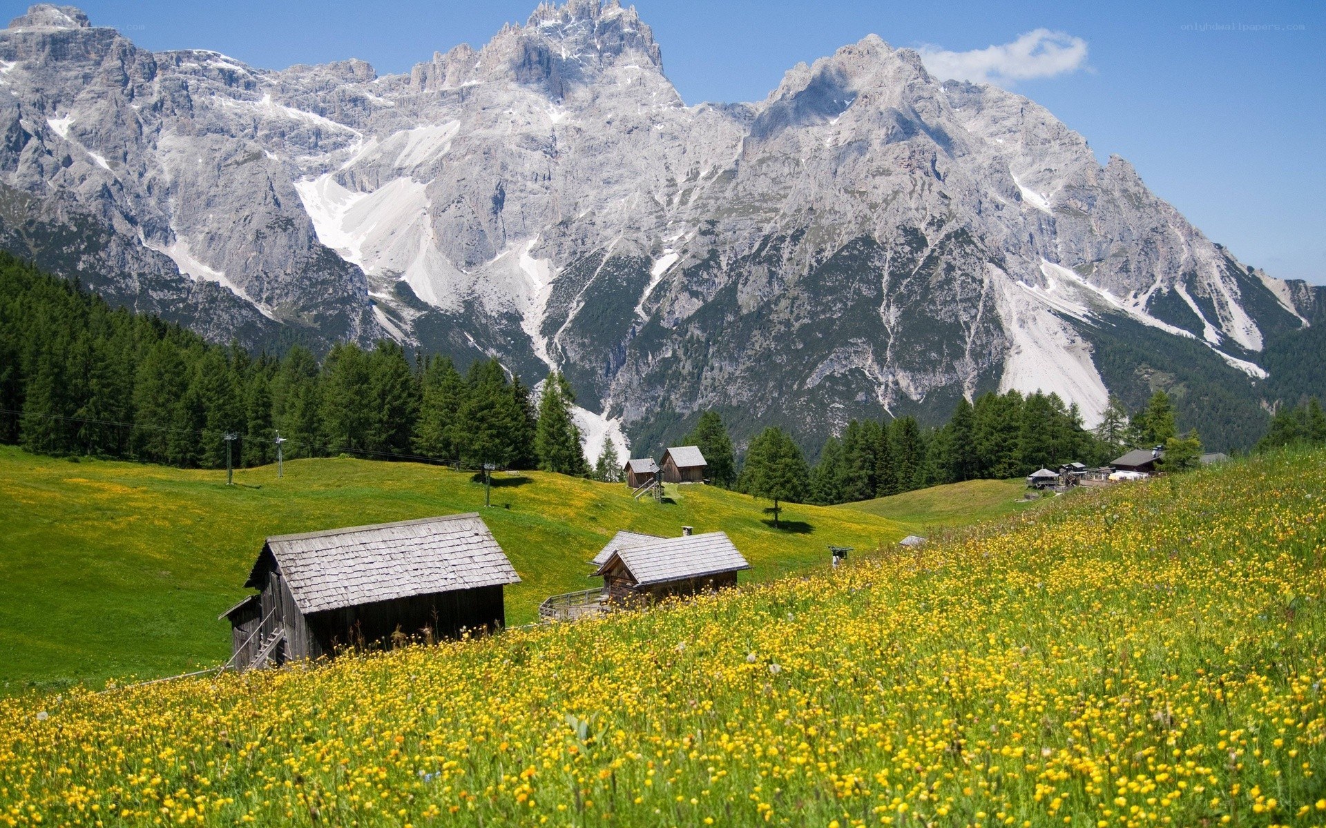 Alpine village with mountain backdrop