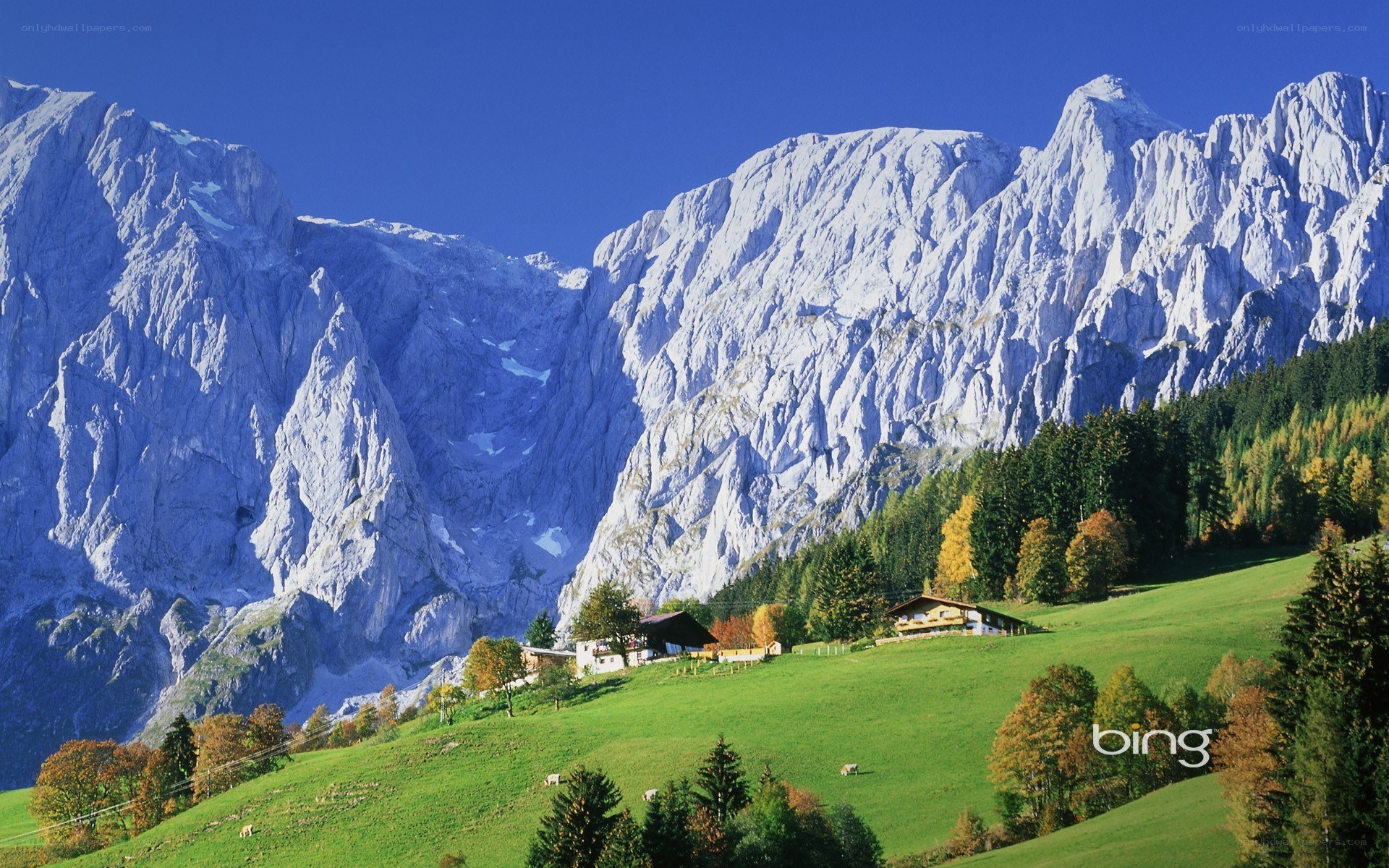 Alpine village with mountain backdrop