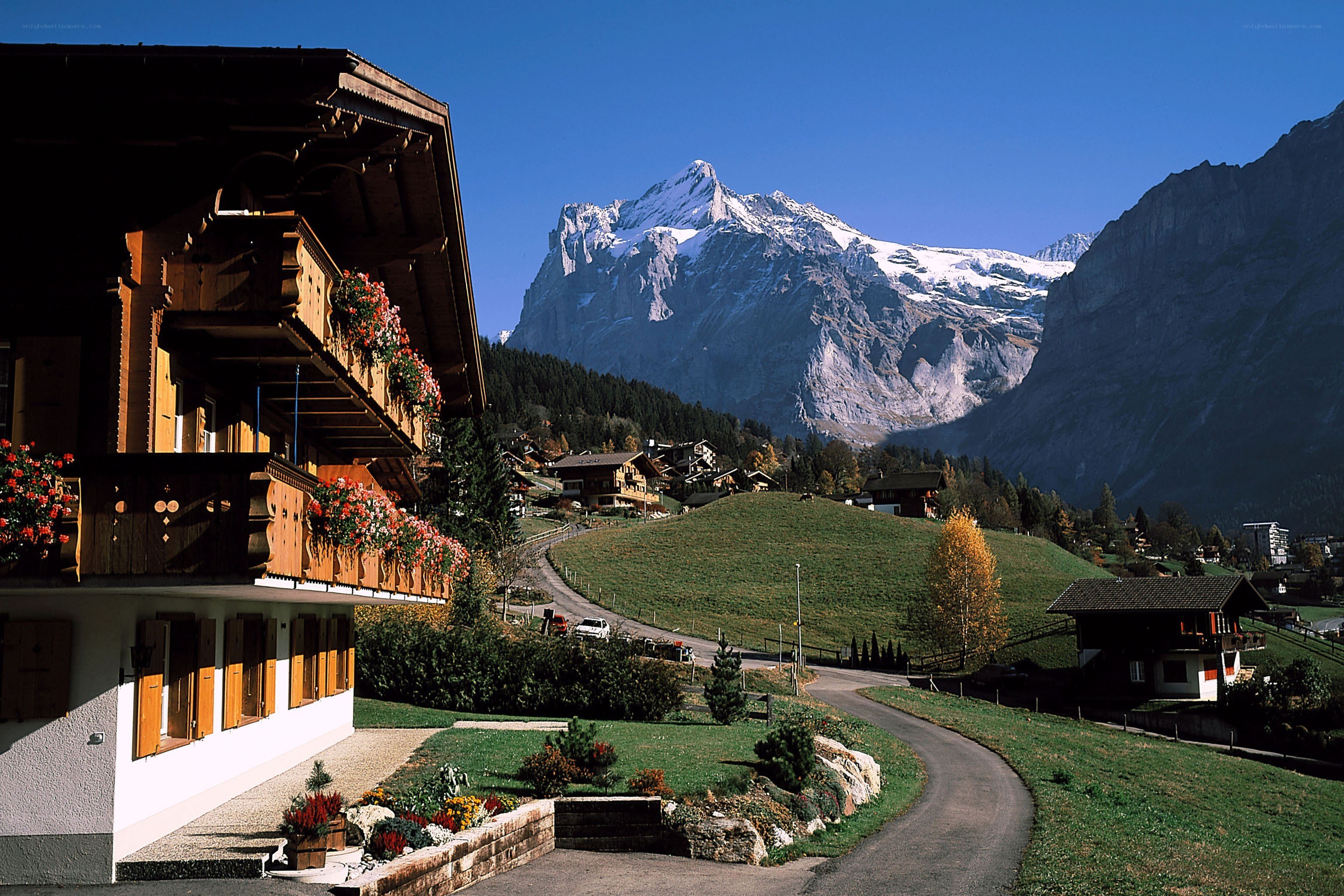 Alpine village with mountain view