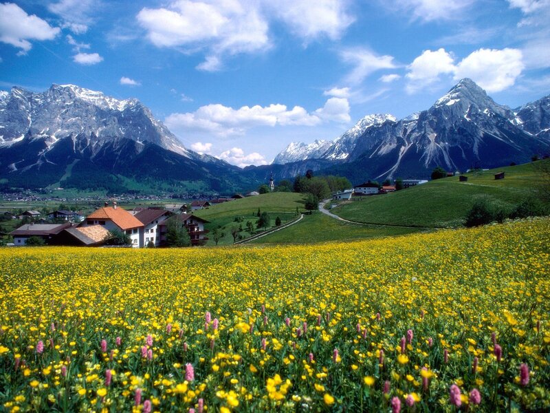 Alpine village with wildflowers