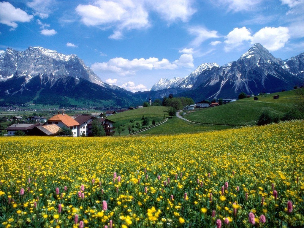 alpine village with wildflowers
