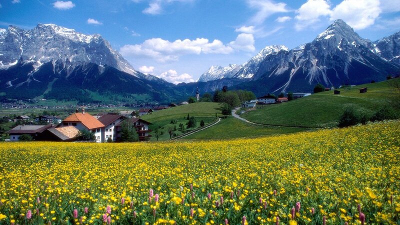 Alpine village with yellow flowers