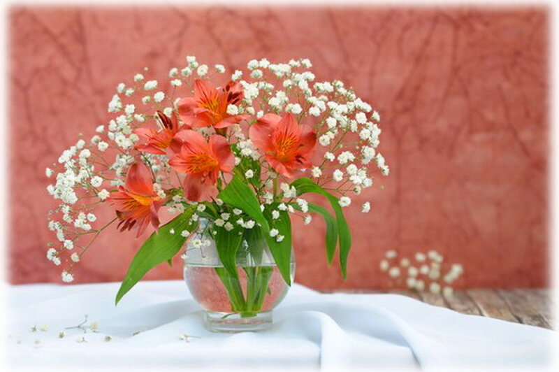 Alstroemeria and Baby's Breath