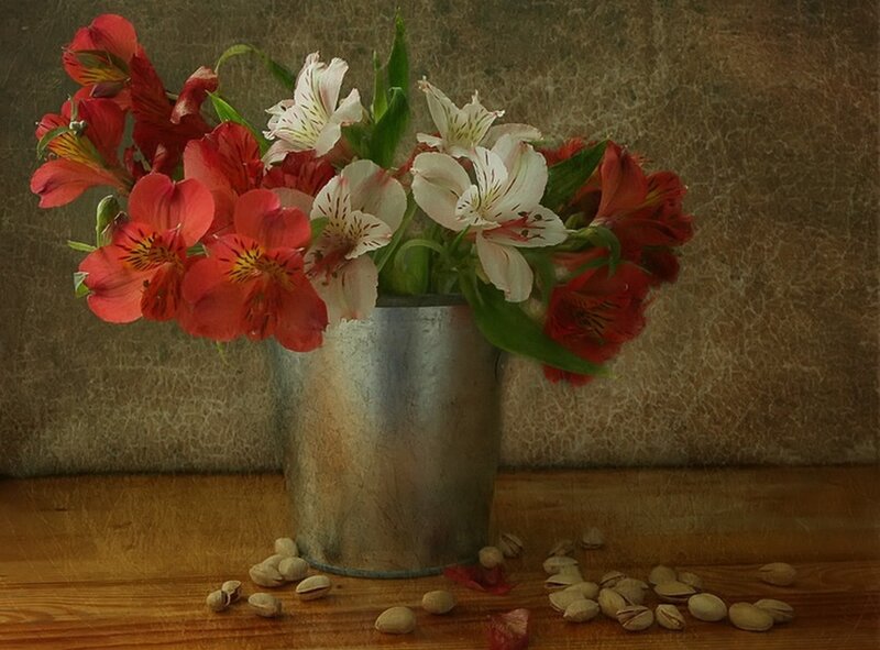 Alstroemeria Flowers in Bucket