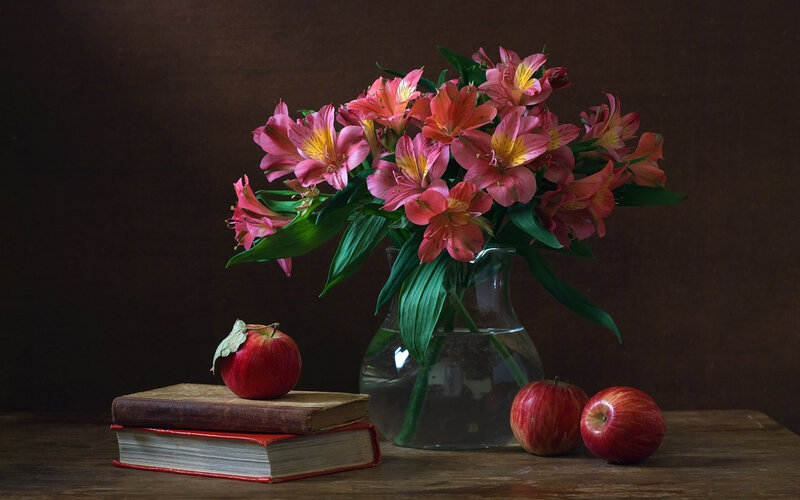 Alstroemeria Flowers in Vase — Brown