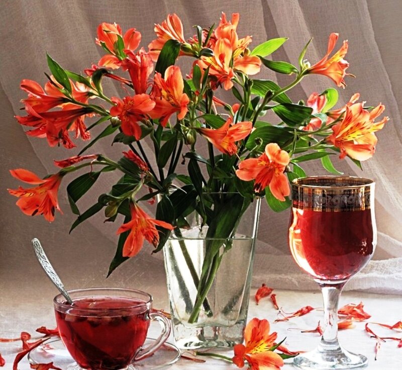 Alstroemeria Flowers in Vase — Orange