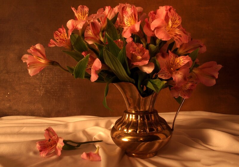 Alstroemeria Flowers in Vase — Pink, Dramatic