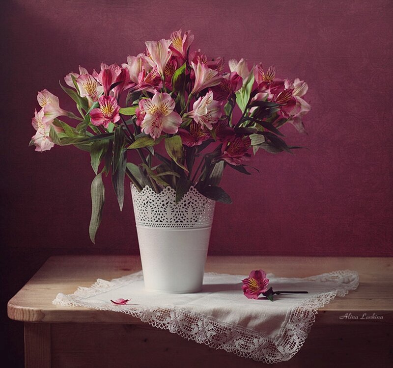 Alstroemeria Flowers in Vase — Pink, Serene, Photograph