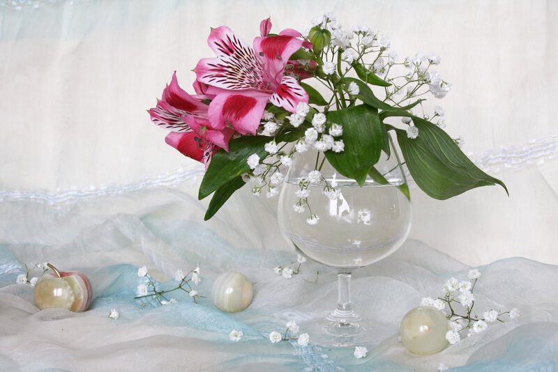 Alstroemeria Flowers in Vase — Pink